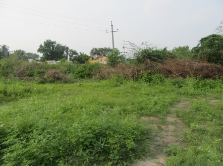 West Facing Tuda Approved 72 Anks Plot for Sale Near Seven Hills Pharmacy College - Venkataramapuram, Tirupati